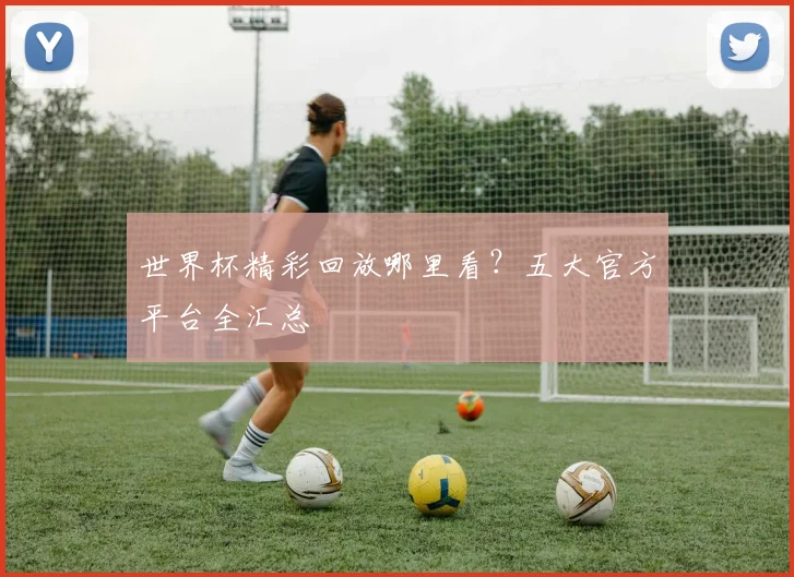 世界杯精彩回放哪里看？五大官方平台全汇总