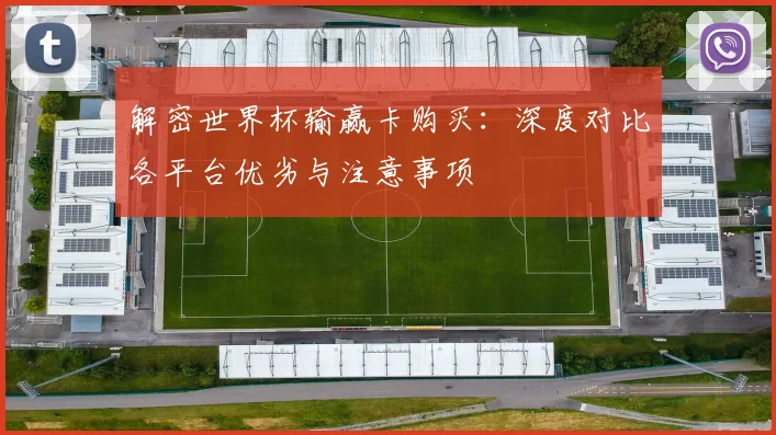解密世界杯输赢卡购买:深度对比各平台优劣与注意事项