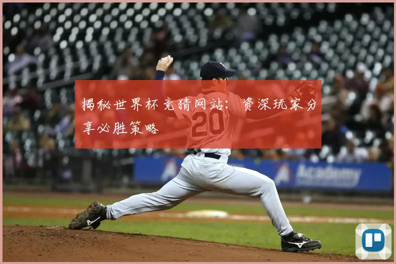 揭秘世界杯竞猜网站：资深玩家分享必胜策略