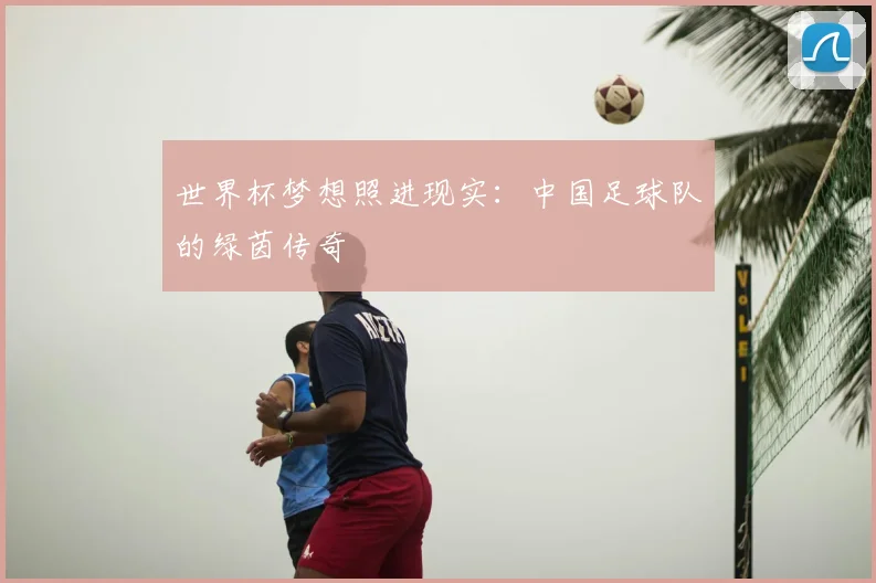世界杯梦想照进现实:中国足球队的绿茵传奇