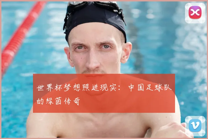 世界杯梦想照进现实：中国足球队的绿茵传奇
