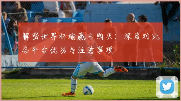 解密世界杯输赢卡购买：深度对比各平台优劣与注意事项